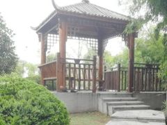 -菊花台公园