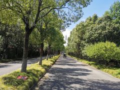 -上海海湾国家森林公园