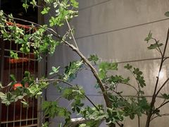 -江户烧肉(高德店)