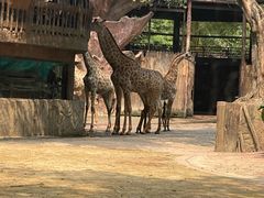 -长鹿旅游休博园