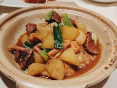 支竹萝卜牛腩煲-唐拉雅秀酒店-唐苑中餐厅