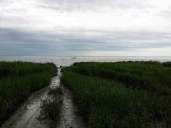 -南汇嘴观海公园