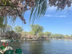 -石家庄市植物园