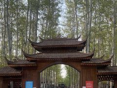 -尚庄度假村·庭台树下·户外烧烤·团建CS·轰趴营地(上庄水库店)