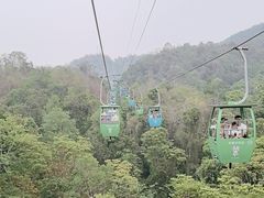 -野象谷景区