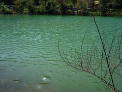 景点-紫云谷景区