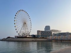 -琴岛之星摩天轮