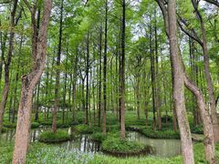 -杭州植物园