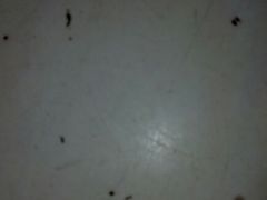 android_upload_pic-曹州牡丹园