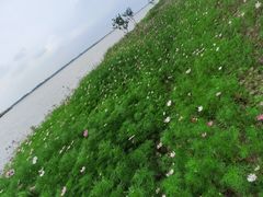 -漕湖湿地公园
