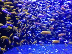 -成都浩海立方海洋公园