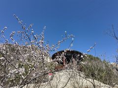 -北京凤凰岭