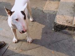 -黄胜记鼓浪屿肉松店(龙头路店)