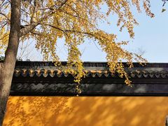 -西园寺