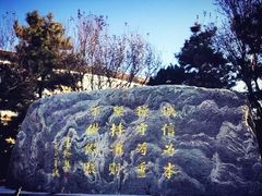 -北京国家会计学院