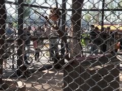 -长白岛森林公园