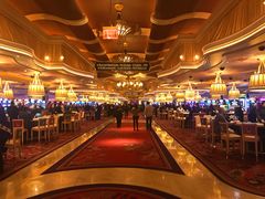 -拉斯维加斯永利酒店