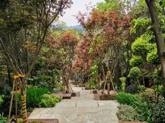 -庐山西海主景区