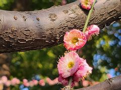 -静安雕塑公园