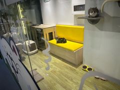 -废柴猫概念馆·桌游电玩卡牌(人广世茂店)