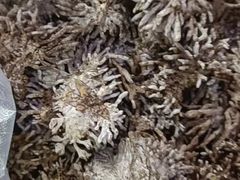 -畲乡一品鱼府土菜馆