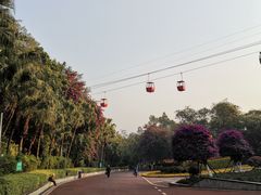 -攀枝花公园