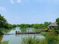 -西溪国家湿地公园