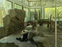 -宁波野生动物园