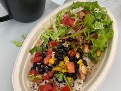 -油梨树AVOCADO TREE(顺义新国展店)