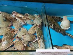 -中苑海韵
