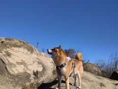 -白水寺森林公园