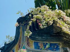 -深圳国际园林花卉博览园