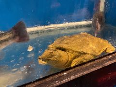 -华盛丰温州大排档(东三环南路店)