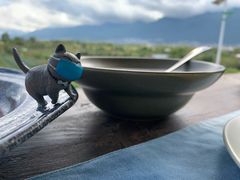 -喵屿·大理花园猫咖