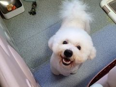 -熊小胖宠物生活馆(天华园店)