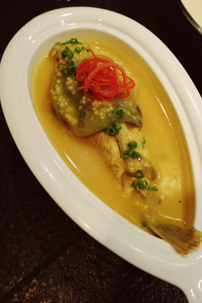 不食河豚不知鱼之鲜-只看楼主-宁波吃喝玩乐-大众点评社区