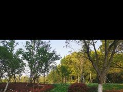 -昆山城市生态森林公园