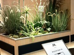 燕麦曲奇拿铁-M Stand(北京平安幸福中心店)