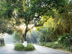 -白云湖畔酒店-湖畔餐厅