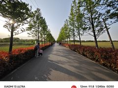 -嘉北郊野公园