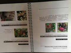 -青咖啡(三坊七巷店)