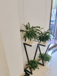 -香秀空间科技抗衰·美容中心