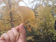 -艾溪湖湿地公园