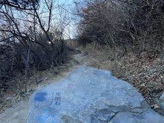 -北京西山国家森林公园