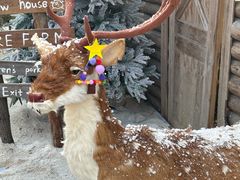 -HERRE·FARM 赫尔露营农场·团建聚会包场