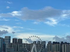 -深圳湾公园(南山区)