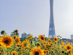 -海心沙亚运公园