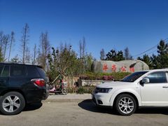 -羊亭河湿地公园