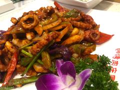 辣炒鱿鱼-韩香福烤肉庄园(荣成店)