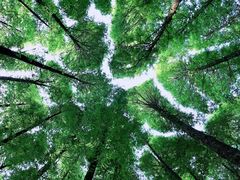 -山王坪喀斯特国家生态公园